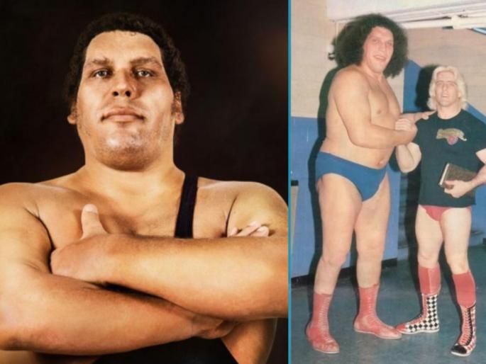 WWE star Andre the giant the great drunker on the earth and unbeatable for 15 years api | एकाचवेळी 159 बीअर ढोसणारा आंद्रे होता पृथ्वीवरील सर्वात मोठा दारूडा, 15 वर्ष कधीच हरला नाही! WWE star Andre the giant the great drunker on the earth and unbeatable for 15 years api | एकाचवेळी 159 बीअर ढोसणारा आंद्रे होता पृथ्वीवरील सर्वात मोठा दारूडा, 15 वर्ष कधीच हरला नाही!