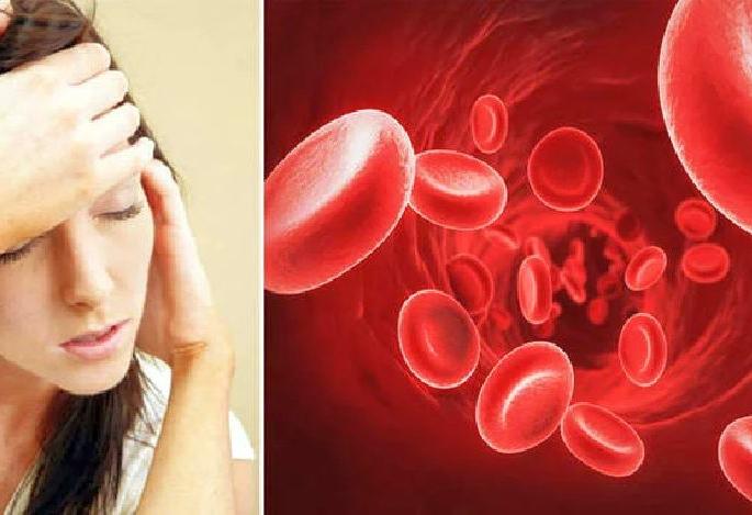 400 million women in India to suffer from 'anemia' by 2050! - Dr. Srinath Reddy | २०५० पर्यंत भारतातील ४० कोटी महिलांना ‘ॲनिमिया’! - डॉ. श्रीनाथ रेड्डी 400 million women in India to suffer from 'anemia' by 2050! - Dr. Srinath Reddy | २०५० पर्यंत भारतातील ४० कोटी महिलांना ‘ॲनिमिया’! - डॉ. श्रीनाथ रेड्डी