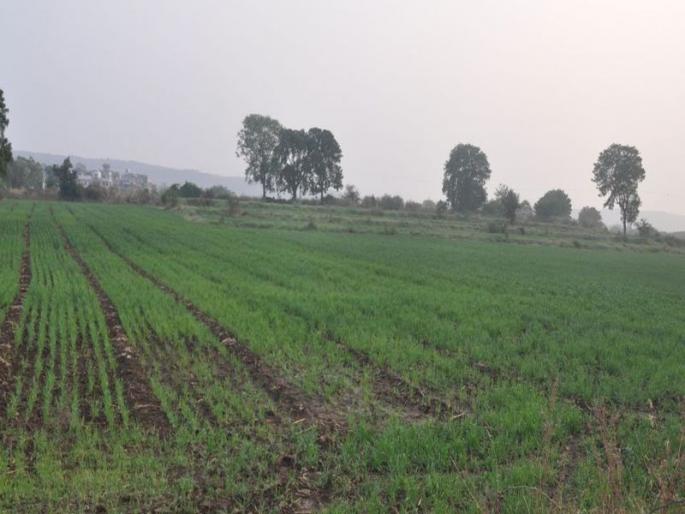 In Nandurbar district this year, all the villages are drought-free | नंदुरबार जिल्ह्यात यंदा सर्वच गावे दुष्काळमुक्त In Nandurbar district this year, all the villages are drought-free | नंदुरबार जिल्ह्यात यंदा सर्वच गावे दुष्काळमुक्त