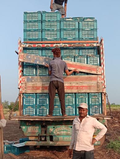 Telangiwadi pomegranates overwhelmed Bangladeshis | तेलंगवाडीच्या डाळिंबाने बांगलादेशवासीयांना पाडली भुरळ