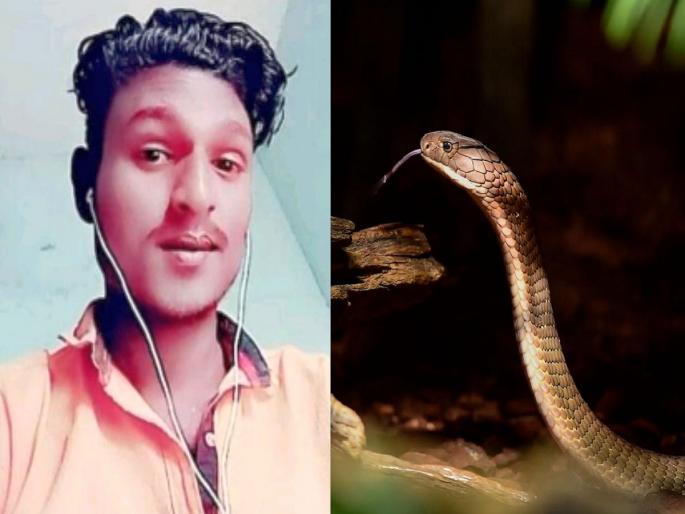 Youth died of snakebite early in the morning, gadchiroli | लघुशंकेसाठी उठला अन् झोपी गेला; सर्पदंशाने पहाटे युवकाचा मृत्यू Youth died of snakebite early in the morning, gadchiroli | लघुशंकेसाठी उठला अन् झोपी गेला; सर्पदंशाने पहाटे युवकाचा मृत्यू
