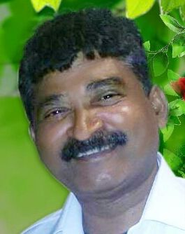 Pachora Tehsil's injured soldier died | पाचोरा तहसीलच्या जखमी शिपायाचे निधन