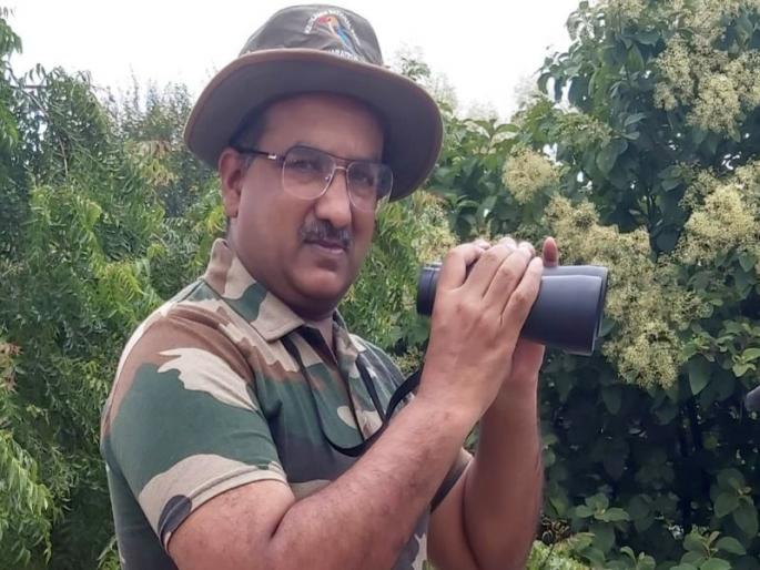 ... Only then will the bird life in Nashik be more prosperous | ...तरच नाशिकचे पक्षीजीवन होईल अधिक समृध्द ... Only then will the bird life in Nashik be more prosperous | ...तरच नाशिकचे पक्षीजीवन होईल अधिक समृध्द
