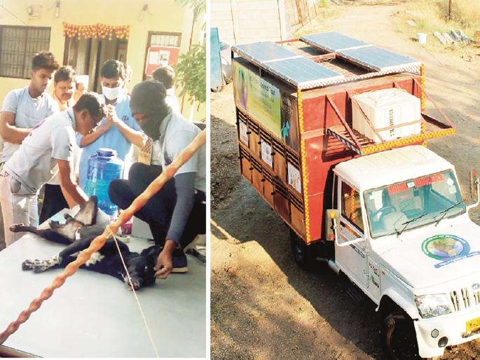 They conducts health camps for animals; Offer free services in villages | हे आहेत प्राण्यांसाठी आरोग्य शिबिरे घेणारे अवलिया; खेड्यापाड्यांत देतात मोफत सेवा