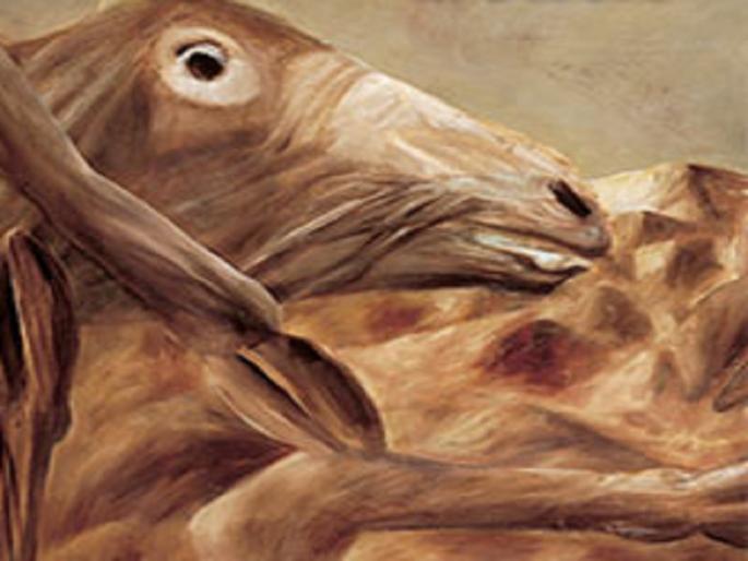 41 animal deaths in Aurangabad | विषप्रयोगातून औरंगाबादेत ४१ जनावरांचा मृत्यू 41 animal deaths in Aurangabad | विषप्रयोगातून औरंगाबादेत ४१ जनावरांचा मृत्यू