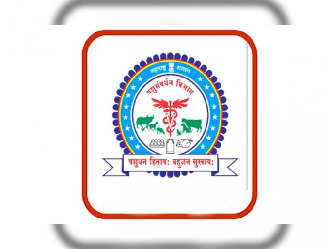 The state government has issued a decision to cancel the recruitment in animal husbandry department after Zila Parishad | जिल्हा परिषदेपाठोपाठ पशुसंवर्धन विभागातील भरती रद्द, राज्य सरकारने जारी केला निर्णय The state government has issued a decision to cancel the recruitment in animal husbandry department after Zila Parishad | जिल्हा परिषदेपाठोपाठ पशुसंवर्धन विभागातील भरती रद्द, राज्य सरकारने जारी केला निर्णय