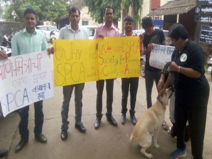 The 'SPCA Committee': Will the cruelty of the dead bears to stop? | हवी ‘एसपीसीए’समिती : मुक्या जीवांना मिळणारी क्रूर वागणूक थांबणार का?