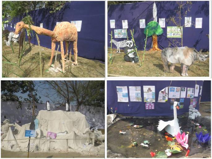 A school full of animals | ३५० प्राण्यांची भरली शाळा A school full of animals | ३५० प्राण्यांची भरली शाळा