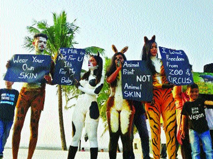 The youth united against animal abuse | प्राण्यांवरील अत्याचारांविरोधात तरुणाई एकवटली The youth united against animal abuse | प्राण्यांवरील अत्याचारांविरोधात तरुणाई एकवटली