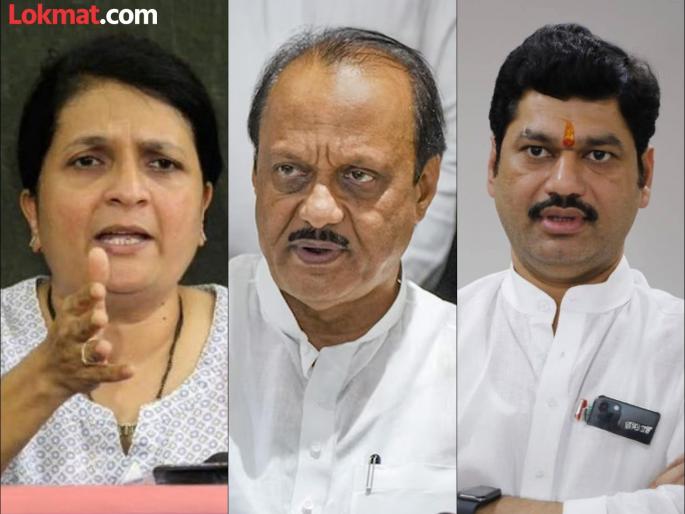 Anjali Damania has given strong response to the allegations made by NCP Suraj Chavan | "काहीही काम न करता १५ देश फिरता"; राष्ट्रवादीच्या आरोपांवर दमानिया म्हणाल्या, "इतका भ्रष्टाचार होतोय अन्..." Anjali Damania has given strong response to the allegations made by NCP Suraj Chavan | "काहीही काम न करता १५ देश फिरता"; राष्ट्रवादीच्या आरोपांवर दमानिया म्हणाल्या, "इतका भ्रष्टाचार होतोय अन्..."