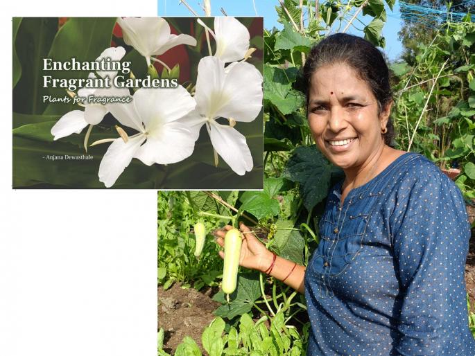 Enchanting Fragrant Gardens : Plants for Fragrance- great book for gardening by Anjana Dewasthale | सुगंधाकडे नेणारी पायवाट, 'त्या फुलांच्या गंधकोषी' घेऊन जाणारा एक सुंदर अनुभव!