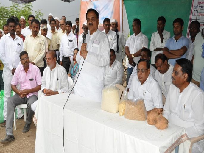 Try to give fodder to DAVA: Transport Minister Diwakar Rao | दावणीला चारा देण्यासाठी प्रयत्न करू : परिवहन मंत्री दिवाकर रावते Try to give fodder to DAVA: Transport Minister Diwakar Rao | दावणीला चारा देण्यासाठी प्रयत्न करू : परिवहन मंत्री दिवाकर रावते