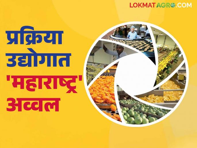 Anna Prakriya Udyog : Number one in Maharashtra in food processing industry scheme; How many projects got approval? Read in detail | Anna Prakriya Udyog : अन्न प्रक्रिया उद्योग योजनेत महाराष्ट्र देशात नंबर वन; किती प्रकल्पांना मिळाली मंजुरी? वाचा सविस्तर