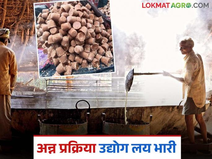 This district is second in the state in the food processing industry scheme; As many as 432 industries have been set up | अन्नप्रक्रिया उद्योग योजनेत हा जिल्हा राज्यात दुसरा; तब्बल ४३२ उद्योगांची उभारणी This district is second in the state in the food processing industry scheme; As many as 432 industries have been set up | अन्नप्रक्रिया उद्योग योजनेत हा जिल्हा राज्यात दुसरा; तब्बल ४३२ उद्योगांची उभारणी