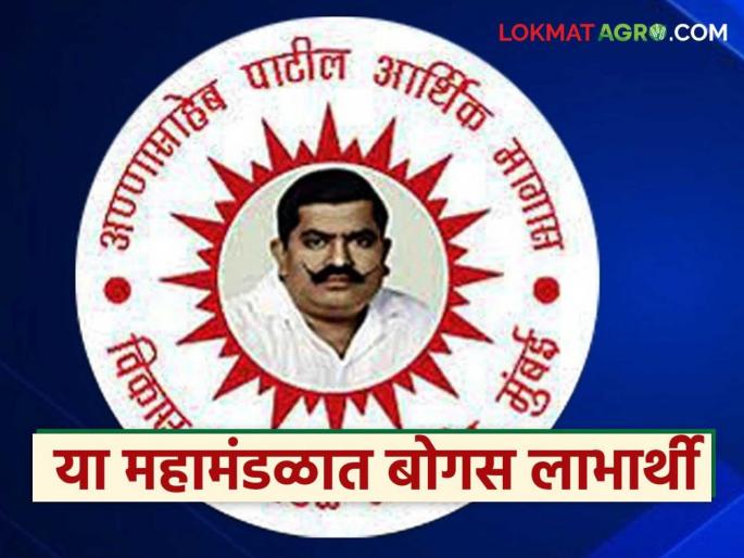Latest Ndews Bogus beneficiaries in Annasaheb Patil Economic Development Corporation | अण्णासाहेब पाटील आर्थिक विकास महामंडळात बोगस लाभार्थी, नाशिक, अहिल्यानगरातील प्रकार