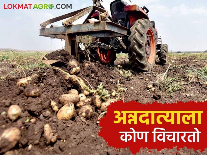 The production of agricultural products has increased in the country, but the money pocket of the farmer is empty read more | देशात शेतमालाचे उत्पादन तर वाढले पण अन्नदात्याचा खिसा मात्र रिकामाच वाचा सविस्तर