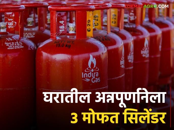 Chief Minister's Annapurna Yojana; Get three gas cylinders free per year | Annapurna Yojana : मुख्यमंत्री अन्नपूर्णा योजना; मिळणार वर्षाला तीन गॅस सिलेंडर मोफत Chief Minister's Annapurna Yojana; Get three gas cylinders free per year | Annapurna Yojana : मुख्यमंत्री अन्नपूर्णा योजना; मिळणार वर्षाला तीन गॅस सिलेंडर मोफत