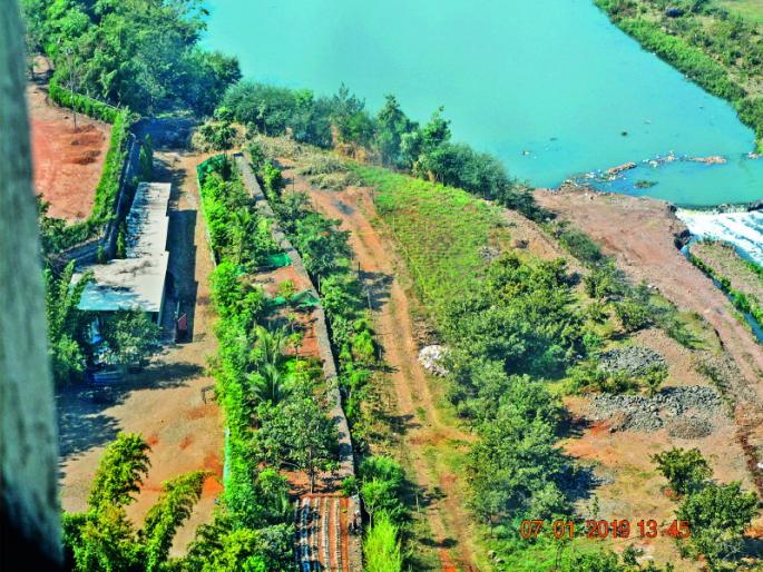 Enquiry order by Green tribunal agains person who stuck mutha river throught | मुठेचा गळा आवळणाऱ्यांच्या चौकशीचे हरित लवादाकडून आदेश : पाटबंधारे विभागाच्या झोपा  Enquiry order by Green tribunal agains person who stuck mutha river throught | मुठेचा गळा आवळणाऱ्यांच्या चौकशीचे हरित लवादाकडून आदेश : पाटबंधारे विभागाच्या झोपा