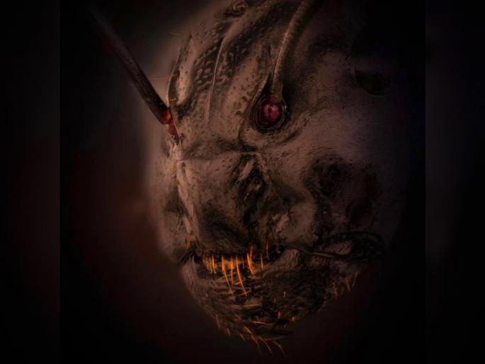 Ants Face Close Up Photo goes viral clicked by Lithuanian photographer Eugenijus Kavaliauskas netizens afraid as it looks horror | Ants Face Close Up Viral Photo: Danger!!! मुंगीच्या चेहऱ्याचा क्लोस-अप फोटो पाहून तुम्हालाही भरेल धडकी Ants Face Close Up Photo goes viral clicked by Lithuanian photographer Eugenijus Kavaliauskas netizens afraid as it looks horror | Ants Face Close Up Viral Photo: Danger!!! मुंगीच्या चेहऱ्याचा क्लोस-अप फोटो पाहून तुम्हालाही भरेल धडकी