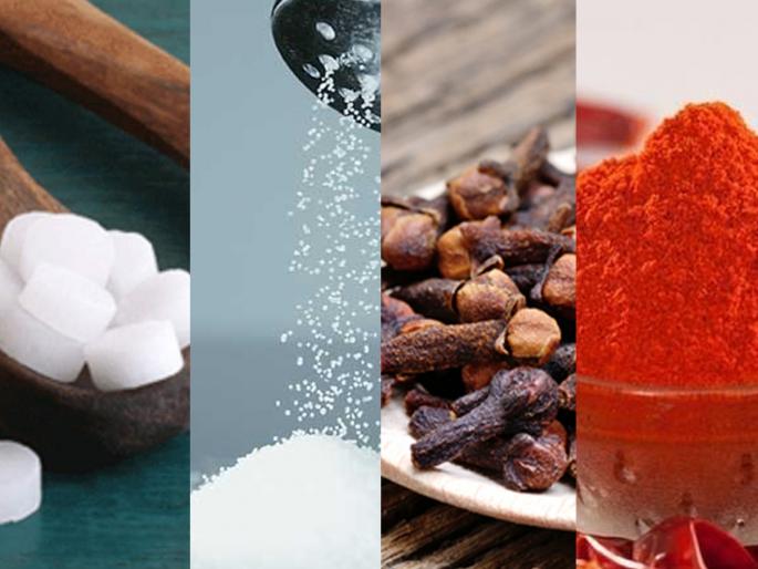 5 Easy Ways to Break the chain of Kitchen Ants! | उन्हाळ्यात लाल मुंग्यांचा वैताग; 5 सोप्या उपायांनी स्वयंपाकघरातल्या मुंग्यांच्या रांगेला लागेल ब्रेक!