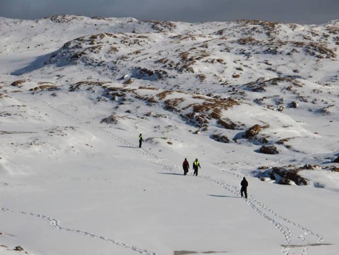 increasing temparature affecting on Antarctica ice | जागतिक हवामान दिन विशेष : वाढत्या तापमानाचा अन्टार्टिकामधील बर्फावर मोठा परिणाम increasing temparature affecting on Antarctica ice | जागतिक हवामान दिन विशेष : वाढत्या तापमानाचा अन्टार्टिकामधील बर्फावर मोठा परिणाम