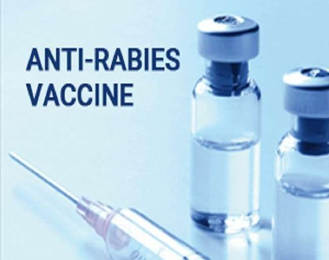 'Anti Rabies' vaccine will be available in 14 hospitals now | आता १४ दवाखान्यात मिळणार ‘अॅण्टी रॅबीज’ लस 'Anti Rabies' vaccine will be available in 14 hospitals now | आता १४ दवाखान्यात मिळणार ‘अॅण्टी रॅबीज’ लस