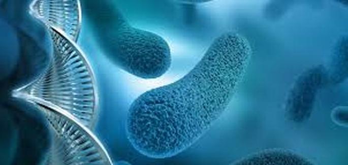 Increased risk of antimicrobial resistance | अँटिमायक्रोबिअल रेजिस्टन्सचा वाढता धोका