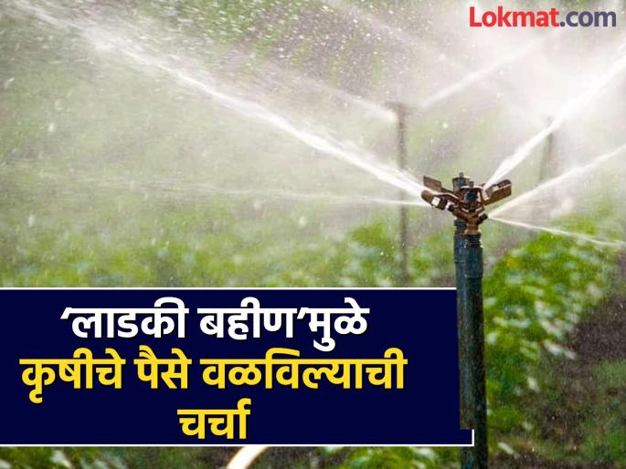 Beneficiary farmers of agricultural schemes have been left with a subsidy of Rs 165 crore 87 lakhs. | कृषी योजनांच्या लाभार्थी शेतकऱ्यांचे १६५ कोटी ८७ लाखांचे अनुदान थकले Beneficiary farmers of agricultural schemes have been left with a subsidy of Rs 165 crore 87 lakhs. | कृषी योजनांच्या लाभार्थी शेतकऱ्यांचे १६५ कोटी ८७ लाखांचे अनुदान थकले
