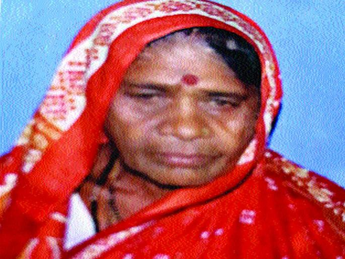 grandmother travels 65 km in 3 days | आजींचा ३ दिवसांत ६५ किमीचा प्रवास grandmother travels 65 km in 3 days | आजींचा ३ दिवसांत ६५ किमीचा प्रवास