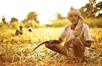 Crop insurance: time to reavive | पीक विमा: शेळी जाते जीवानिशी..... Crop insurance: time to reavive | पीक विमा: शेळी जाते जीवानिशी.....