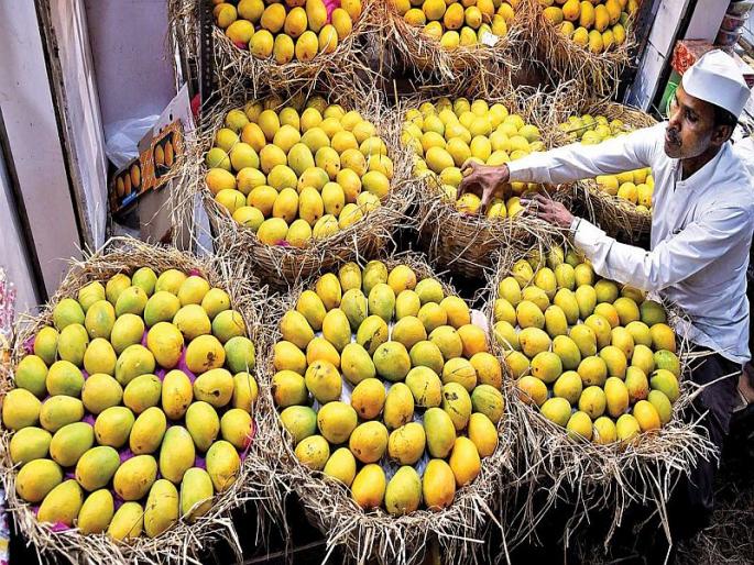 Mango begins to bloom in December | वातावरण बदलामुळे आंबा हंगाम लांबणार; बागायतदार चिंतेत