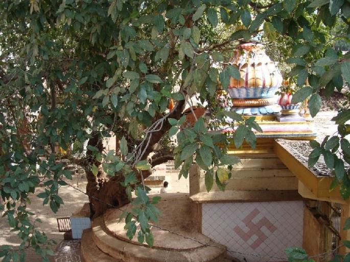 Oudomar of Krishna Katha | कृष्णाकाठचे औदुंबर Oudomar of Krishna Katha | कृष्णाकाठचे औदुंबर