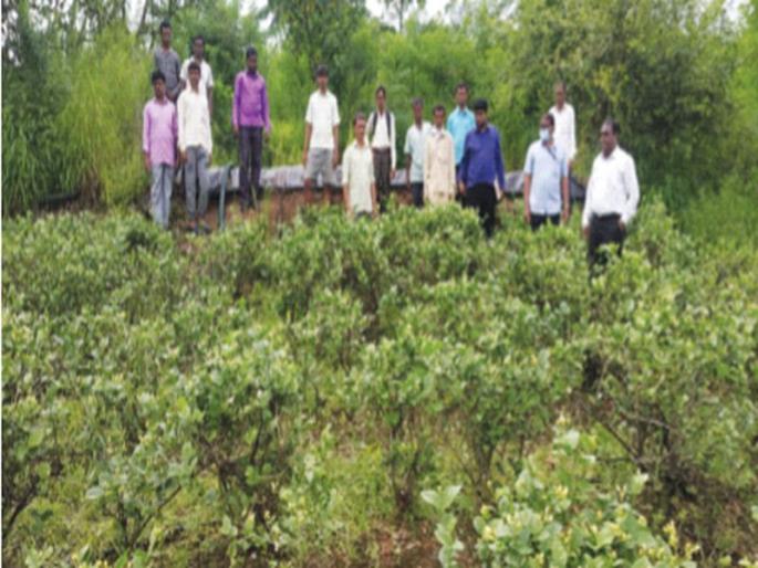 Employment Guarantee Scheme includes three flower farms | रोजगार हमी योजनेत तीन फुलशेतींचा समावेश Employment Guarantee Scheme includes three flower farms | रोजगार हमी योजनेत तीन फुलशेतींचा समावेश