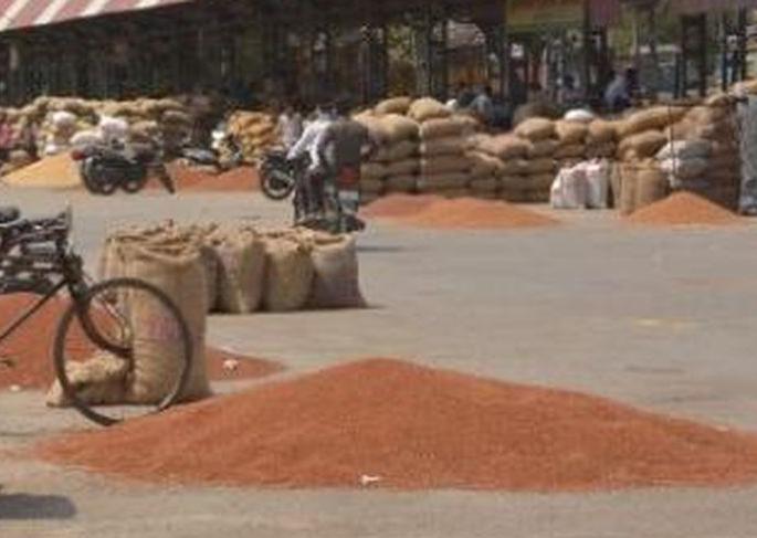 Akola: 2,100 quintals of toor arrives in two days! | अकोला:  दोन दिवसांत २,१०० क्विंटल तुरीची आवक! Akola: 2,100 quintals of toor arrives in two days! | अकोला:  दोन दिवसांत २,१०० क्विंटल तुरीची आवक!