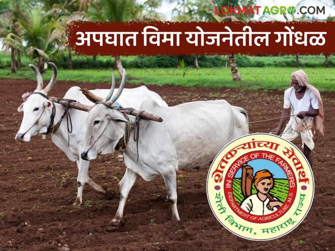 Latest News shetkari apghat vima yojna Errors found in proposal for Farmers Accident Insurance Scheme | कुटुंब प्रमुख गेला, विमा कंपनी म्हणतेय प्रस्तावात त्रुटी, शेतकरी अपघात विमा योजनेचा गोंधळ 