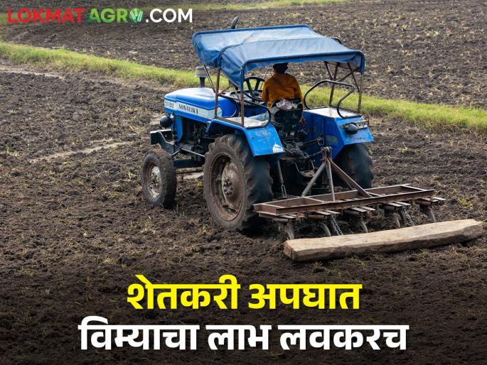 Gopinath Munde Farmer Accident Insurance; Agriculture department settled 2453 claims, money soon transfer in farmers' accounts | गोपीनाथ मुंडे शेतकरी अपघात विमा; कृषी विभागाने २४५३ दावे निकाली काढले, पैसे लवकरच शेतकऱ्यांच्या खात्यावर Gopinath Munde Farmer Accident Insurance; Agriculture department settled 2453 claims, money soon transfer in farmers' accounts | गोपीनाथ मुंडे शेतकरी अपघात विमा; कृषी विभागाने २४५३ दावे निकाली काढले, पैसे लवकरच शेतकऱ्यांच्या खात्यावर
