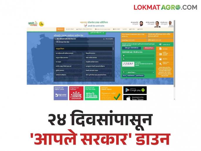 Aple Sarkar Portal : 'Aaple Sarkar' down for 24 days; Other certificates including income, caste certificate are pending | Aple Sarkar Portal : २४ दिवसांपासून 'आपले सरकार' डाउन; उत्पन्न, जातीचा दाखला यांसह इतर प्रमाणपत्रे प्रलंबित