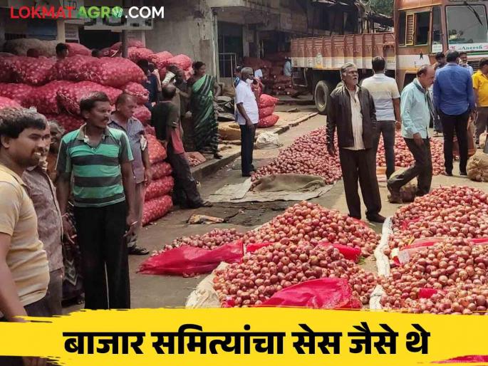 APMC Cess : Cess of Agricultural Produce Market Committees continued as like pervious, Govt Ordinance Finally Back | APMC Cess : कृषी उत्पन्न बाजार समित्यांच्या सेस जैसे थे, सरकारचा अध्यादेश अखेर मागे