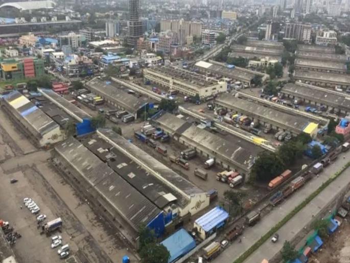 Hold APMC elections, cancel administrator appointment; High Court reprimands state government | APMC निवडणूक घ्या, प्रशासक नियुक्ती रद्द; उच्च न्यायालयाने राज्य सरकारला फटकारले