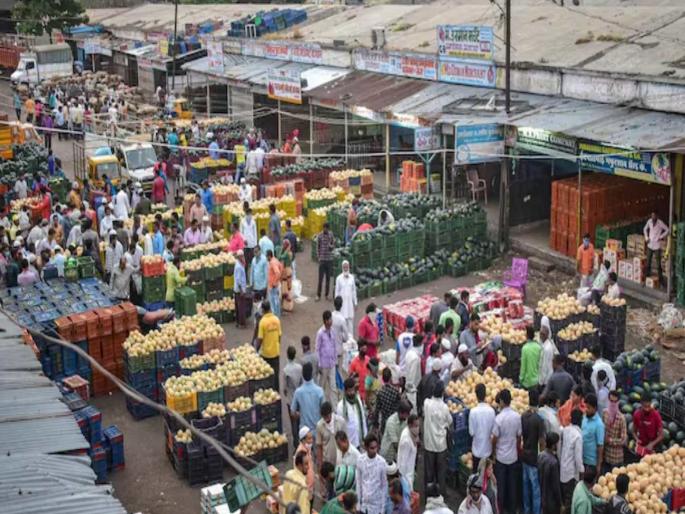Election for the post of Chairman of Mumbai Agricultural Produce Market Committee was held unopposed | निमित्त: मुंबई बाजार समितीला पुन्हा सुगीचे दिवस ? Election for the post of Chairman of Mumbai Agricultural Produce Market Committee was held unopposed | निमित्त: मुंबई बाजार समितीला पुन्हा सुगीचे दिवस ?