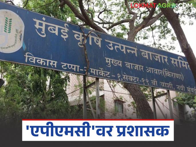 APMC Market : Administrator finally appointed to Asia's largest agricultural produce market committee | APMC Market : आशियातील सर्वात मोठ्या कृषी उत्पन्न बाजार समितीवर अखेर प्रशासकाची नियुक्ती