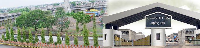 Nagpur APMC Elections as per new law | नागपूर एपीएमसीच्या निवडणुका नवीन कायद्यानुसारच