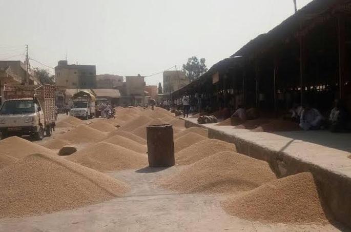 Farmers crop not get MSP in Washim district | शेतमाल हमीभावाच्या नियमाला कोलदांडा !