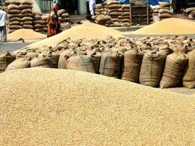 Soya bean arriving in Akola market | अकोल्याच्या बाजारात सोयाबीनची आवक सुरूच Soya bean arriving in Akola market | अकोल्याच्या बाजारात सोयाबीनची आवक सुरूच