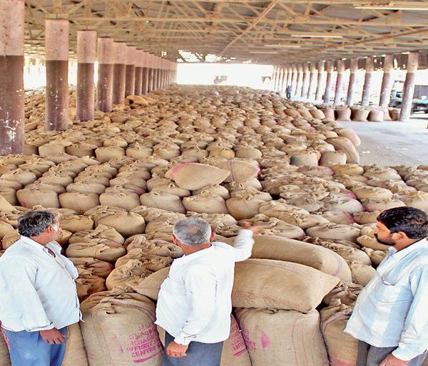Two months have passed; Farmers not get payment | दोन महिने उलटले; पण हरभऱ्याचे मिळाले नाही चुकारे! Two months have passed; Farmers not get payment | दोन महिने उलटले; पण हरभऱ्याचे मिळाले नाही चुकारे!