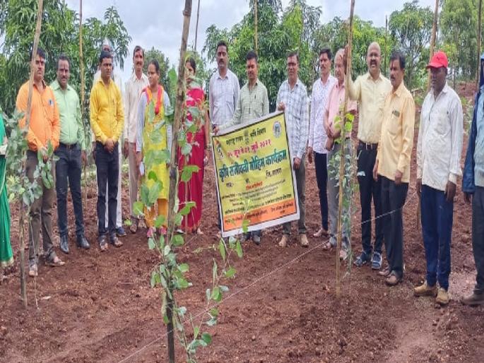 Planting of apple trees in Himachal Pradesh at in Satara, an innovative experiment | हिमाचल प्रदेशातील सफरचंद झाडांची साताऱ्यातील वेरुळीत लागवड, नाविन्यपूर्ण प्रयोग Planting of apple trees in Himachal Pradesh at in Satara, an innovative experiment | हिमाचल प्रदेशातील सफरचंद झाडांची साताऱ्यातील वेरुळीत लागवड, नाविन्यपूर्ण प्रयोग
