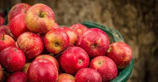 Apple rates drop due to increase in arrivals | आवक वाढल्याने सफरचंदाचे दर घसरले; ग्राहकांची चांदी  Apple rates drop due to increase in arrivals | आवक वाढल्याने सफरचंदाचे दर घसरले; ग्राहकांची चांदी