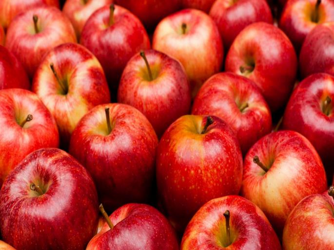 An apple carries about 100 million bacteria says study | तुम्ही सफरचंदासोबत बॅक्टेरिया खात आहात का?; जाणून घ्या काय म्हणतो रिसर्च? An apple carries about 100 million bacteria says study | तुम्ही सफरचंदासोबत बॅक्टेरिया खात आहात का?; जाणून घ्या काय म्हणतो रिसर्च?