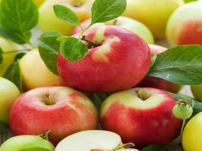 foods include in your diet to get rid respiratory diseases list | फुफ्फुसांचं आरोग्य चांगलं राखण्यासाठी फायदेशीर ठरतात 'हे' 6 पदार्थ!