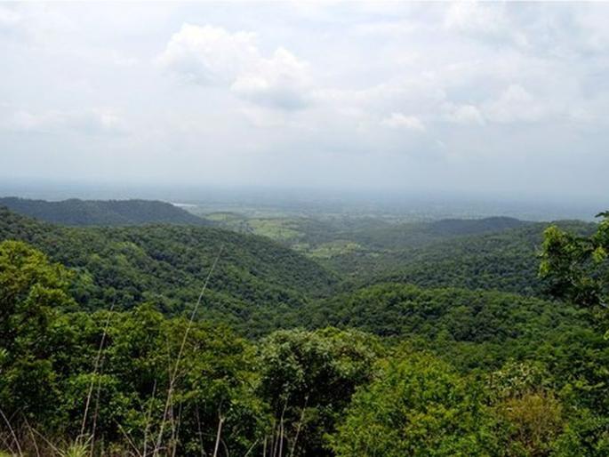 Appointment of honorary wildlife rangers in the State | राज्यात मानद वन्यजीव रक्षकांच्या नियुक्त्या